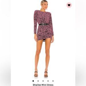 Shailee Mini Dress